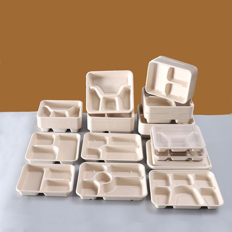 Biodegradable PLA Compostable Meal Boxes – Eco-Friendly Takeaway Food Containers