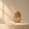 brown-30ml-pp-pocket-card-spray-bottle-producing-a-fine-mist.jpg