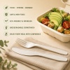 pla-disposable-knife-fork-spoon-and-spork-cutlery-shown-with-a-takeaway-salad-meal.jpg