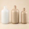 30ml-to-500ml-wheat-straw-composite-pump-bottle-showing-three-bottles.jpg